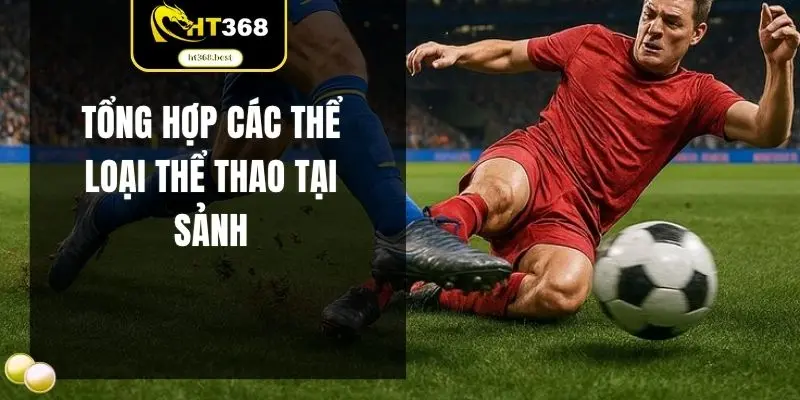 Tổng hợp các thể loại thể thao tại sảnh