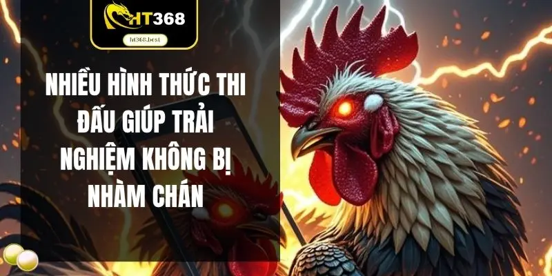Nhiều hình thức thi đấu giúp trải nghiệm không bị nhàm chán