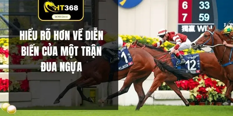 Hiểu rõ hơn về diễn biến của một trận đua ngựa