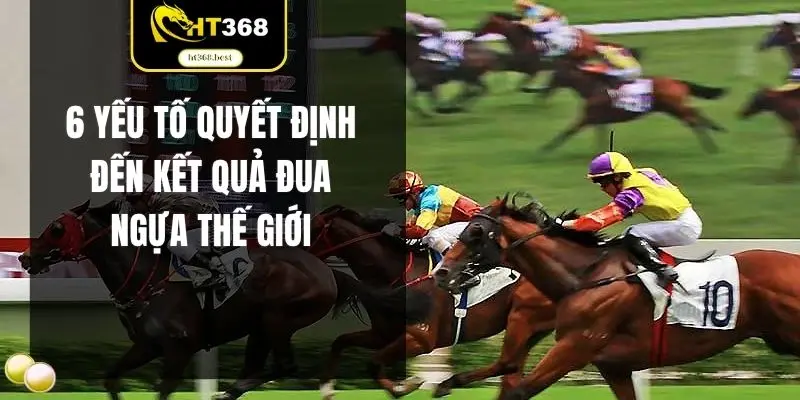6 yếu tố quyết định đến kết quả đua ngựa thế giới