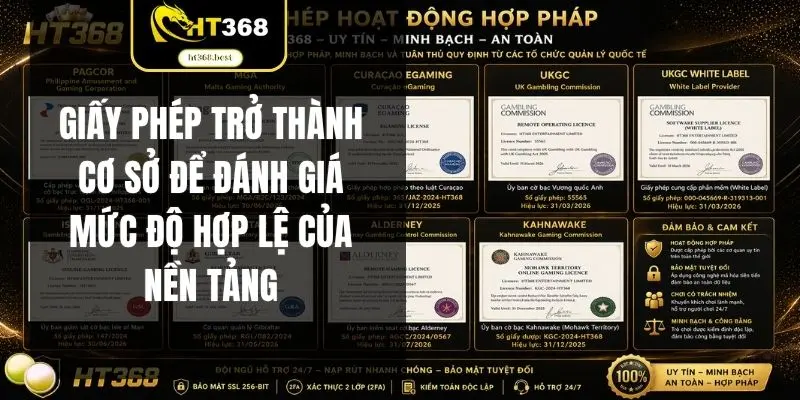 Giấy phép trở thành cơ sở để đánh giá mức độ hợp lệ của nền tảng
