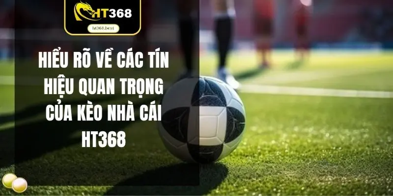 Hiểu rõ về các tín hiệu quan trọng của kèo nhà cái HT368