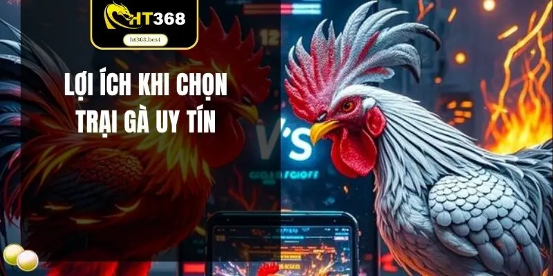 Lợi ích khi chọn trại gà uy tín