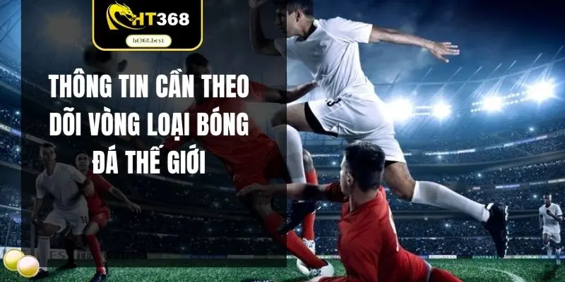 Thông tin cần theo dõi vòng loại bóng đá thế giới