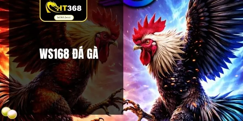 WS168 đá gà